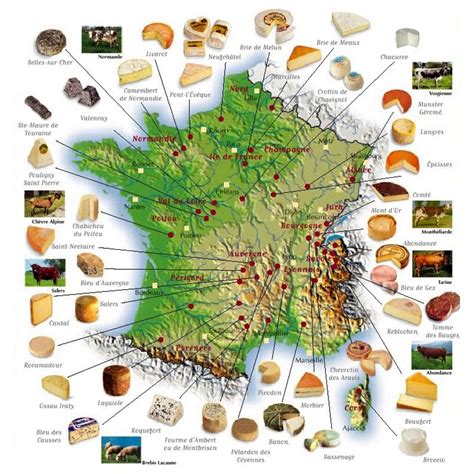 French cheese map | French cheese, French food, Wine cheese