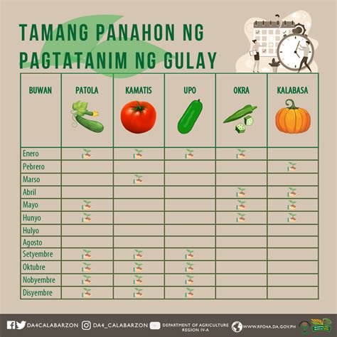 TAMANG PANAHON NG PAGTATANIM NG GULAY - Department of Agriculture Regional Field Office No. 4 ...