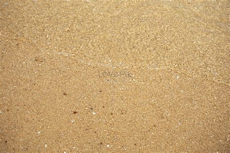 Sandy Beach Picture And HD Photos | Free Download On Lovepik