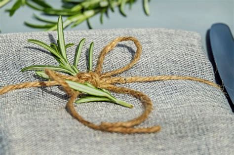 Indoor Rosemary Plant Care - The Girl with a Shovel