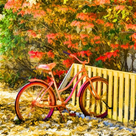 Red Bike In Fall Free Stock Photo - Public Domain Pictures