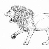 How to Draw a Roaring Lion Step by Step | Lion drawing simple, Drawings, Lion drawing
