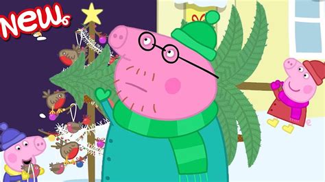 Peppa's Special Christmas Tree 🎄 BRAND NEW Peppa Pig Episodes | Peppa Pig | Cartoon For Kids ...