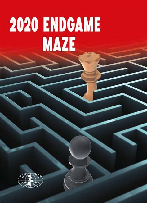 2020 Endgame Maze - Chess Informant