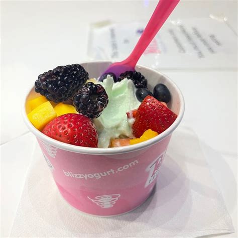 Blizz Frozen Yogurt & Desserts - Las Vegas, NV