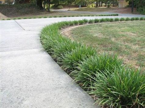 Amazing Evergreen Grasses Landscaping Ideas31 | Grasses landscaping, Ornamental grass landscape ...