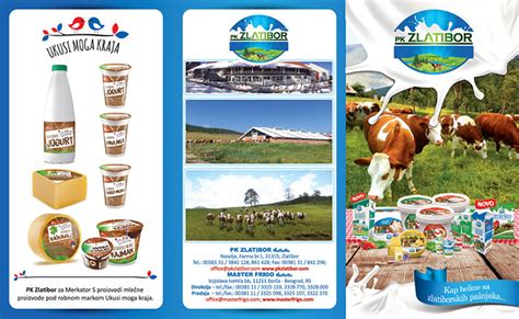 PK Zlatibor Dairy | Traditional producers of Serbia