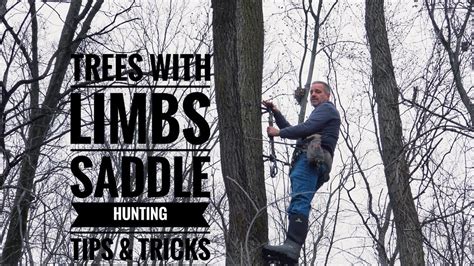 Saddle Hunting 102 -Tips and Tricks - Going Over and Beyond The Limbs ...