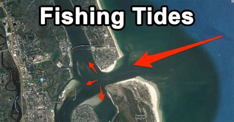 Fishing Tides: How to Predict Best Tide and Reading Charts