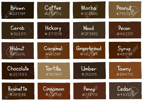 Resultado de imagem para brown code color | Shades of brown paint ...