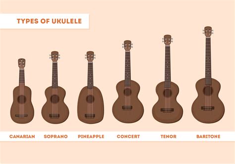 Ukulele Types - Download Free Vector Art, Stock Graphics & Images