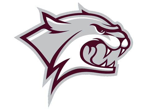 Wildcat clipart maroon, Wildcat maroon Transparent FREE for download on ...