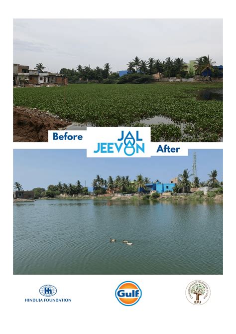 Reviving a lake in the Industrial Town in North Chennai – Thamarai ...