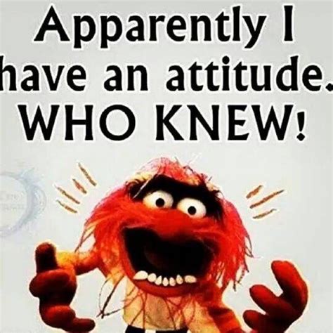 Animal muppets quote | Muppets | Pinterest | Animals, Quotes and Ps