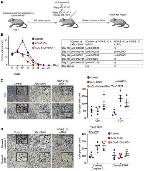 JCI - STING activation reprograms the microenvironment to sensitize NF1-related malignant ...