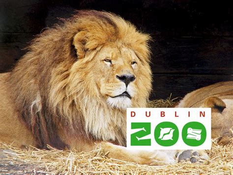 Dublin Zoo