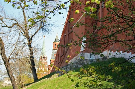 Kremlin Wall Behind Spring Branches Free Stock Photo - Public Domain ...