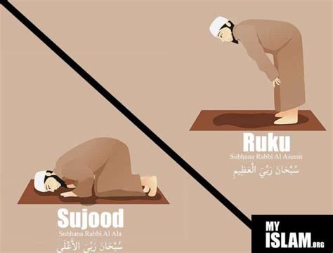 Tasbeeh In Ruku And Sajdah (What To Say in Salah)