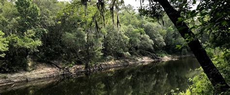 The Dynamic Withlacoochee River | Florida State Parks