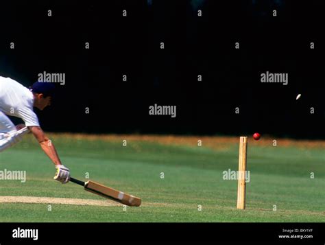 Man running with cricket bat is run out at wicket, with bails flying ...