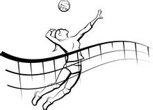 Volleyball Net Free Stock Photo - Public Domain Pictures