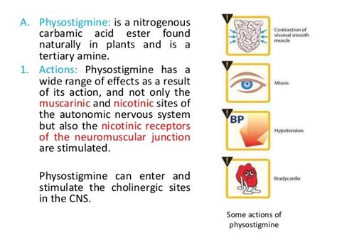 Pharmacology cholinergic agonist