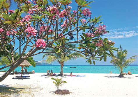 Spring News Pink Plumeria Beach by Liivi Leppik – Visioontekstiil