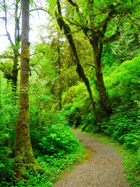 13 Top State Parks Oregon You Didn't Know Existed