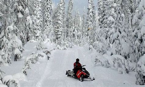 Snowmobile Extravaganza - Grand Teton National Park Vacation Packages ...