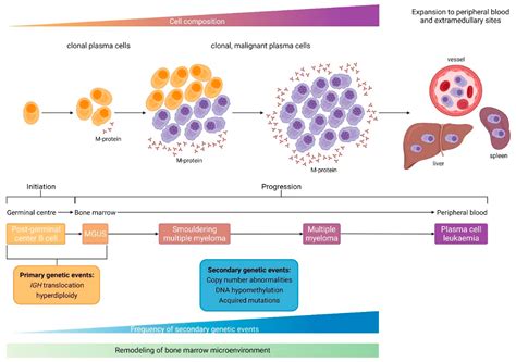 IJMS | Free Full-Text | Targeting the Microenvironment for Treating ...