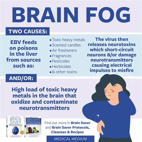 Brain Fog | Medical medium, Brain fog, Neurotransmitters brain