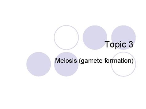 Topic 3 Meiosis gamete formation Human chromosomes Human