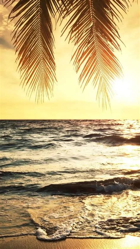 Caribbean Beach Wallpaper