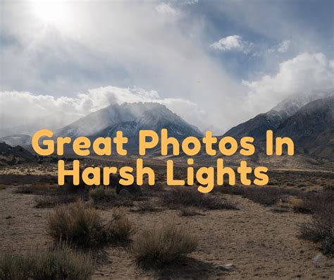 Great Photos In Harsh Lights,Photography Tips From The Experts, Photography Noise Reduction ...