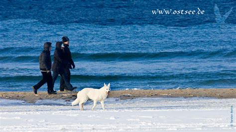 Winter an der Ostsee - Download Hintergrundbilder/Wallpaper - ostsee ...