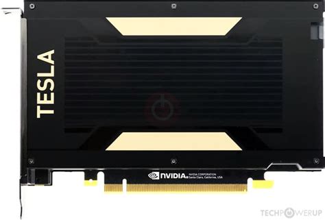 NVIDIA Tesla V100 FHHL Specs | TechPowerUp GPU Database