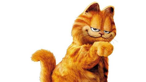 Garfield's a boy … right? How a cartoon cat's gender identity launched ...