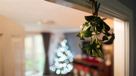 Why is mistletoe part of the Christmas tradition in America?