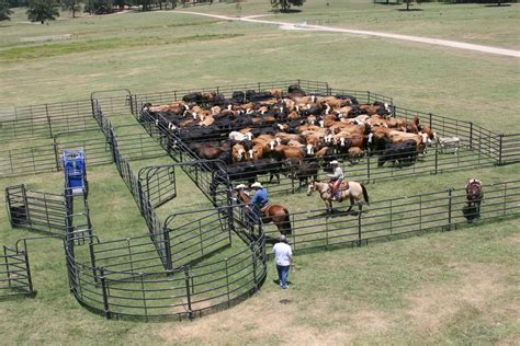 Premier Corral, at priefert.com. (With images) | Cattle corrals, Cattle ...