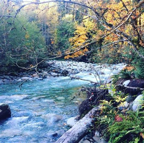 Lynn Valley River Trail Photo | Hiking Photo Contest | Vancouver Trails