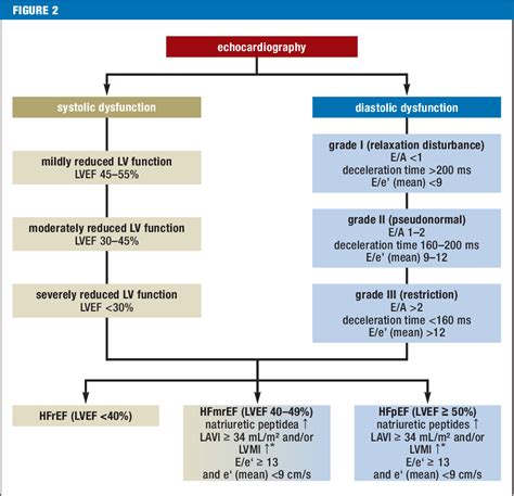 [PDF] The Differential Diagnosis of Dyspnea. | Semantic Scholar