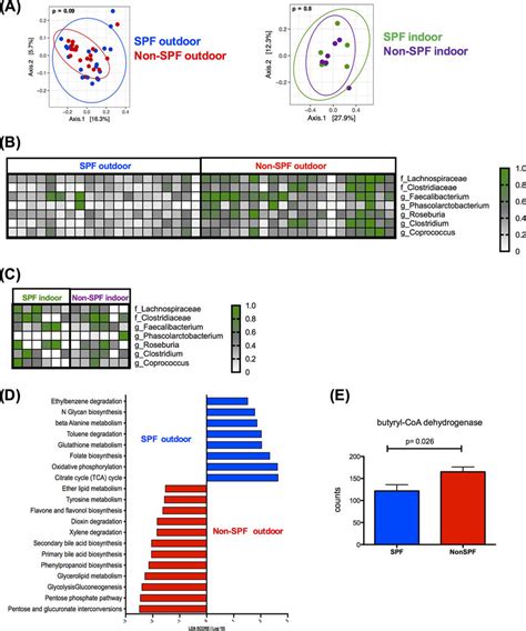 Subclinical viral infections increase abundance of butyrate-producing... | Download Scientific ...