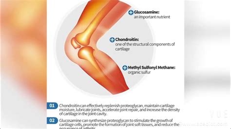 Chondroitin Sulfate benefits - YouTube