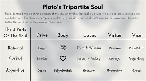 Belief vs Knowledge and Plato’s Tripartite Soul - VoegelinView