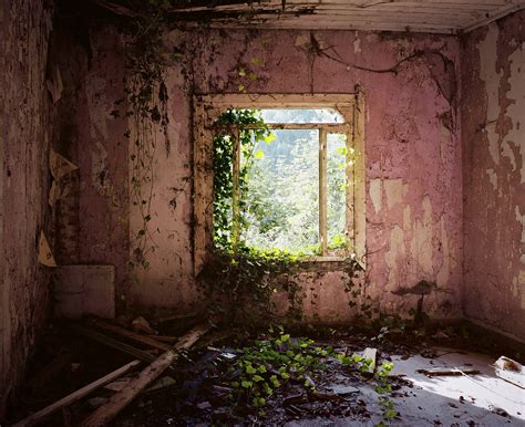 The Eerie Allure of Abandoned Houses | The New Yorker