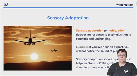 Sensory Adaptation - Wize University Psychology Textbook | Wizeprep