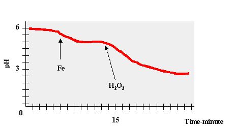 Fenton's reaction