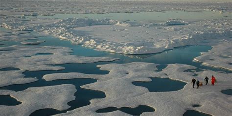 How Will Arctic Climate Change Impact the Carbon Cycle? - Climate Program Office