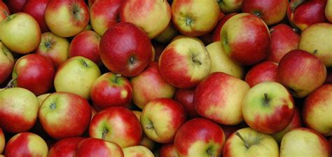 Polish Apples Export To Malaysia Set To Increase - BusinessToday