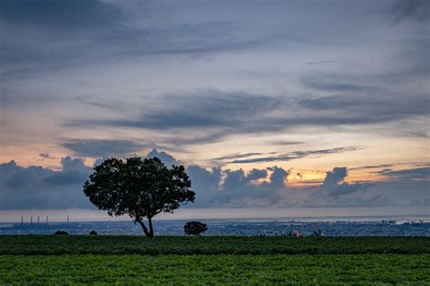 sunset | 2020/7/3 @九天夕陽樹 | Simon Hsu | Flickr